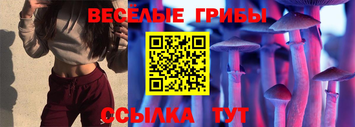 Галлюциногенные грибы Psilocybe  Вход с VPN  Советская Гавань 
